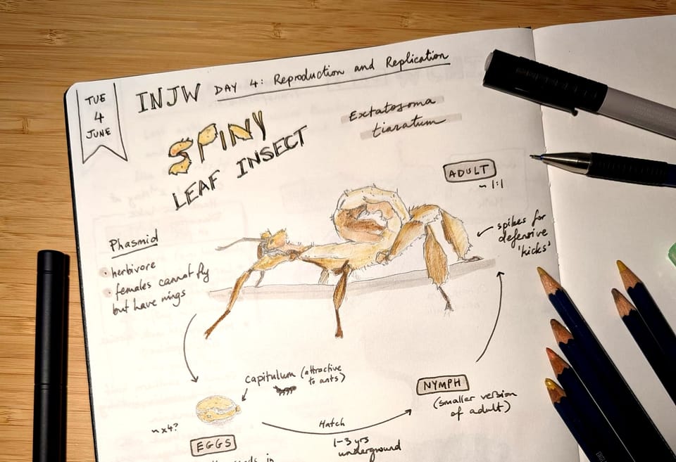 Cycles of Life for INJW 2024